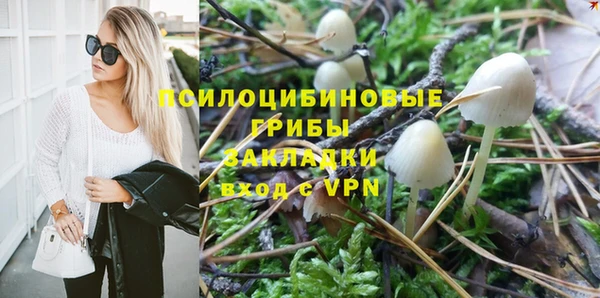 прущие грибы Алексин