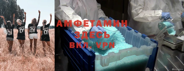прущие грибы Алексин