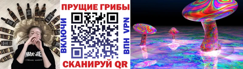 наркошоп  Нижние Серги  Галлюциногенные грибы Cubensis 