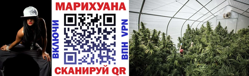 Канабис OG Kush  Нижние Серги 